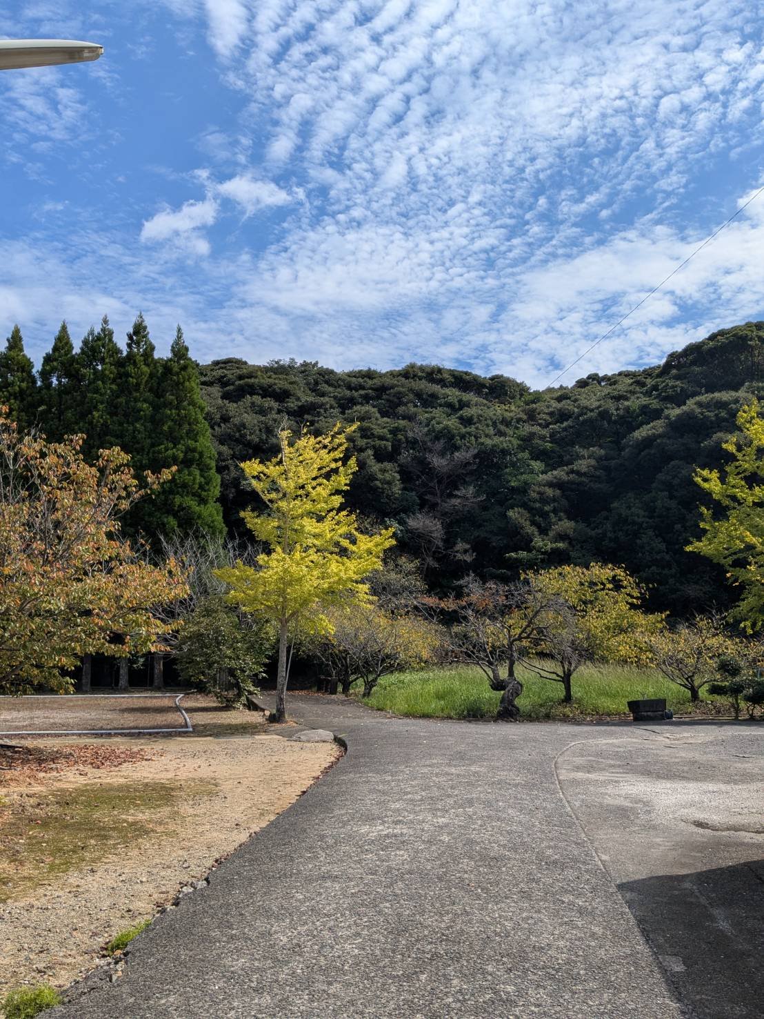 A path through the grounds of Eirinji Buddhist temple