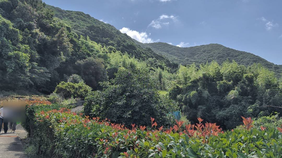 A garden and green hills on Hisaka Island